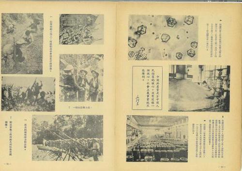48周年特刊6